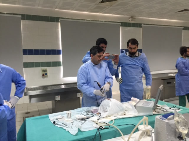 Türk Nöroşirürji Derneği 29. Bilimsel Kongresinde yapılan Kocaeli Üniversitesi Hipofiz Araştırma Merkezinin II. kadavra kursu tamamlandı | Hipofiz | Hipofiz Cerrahisi