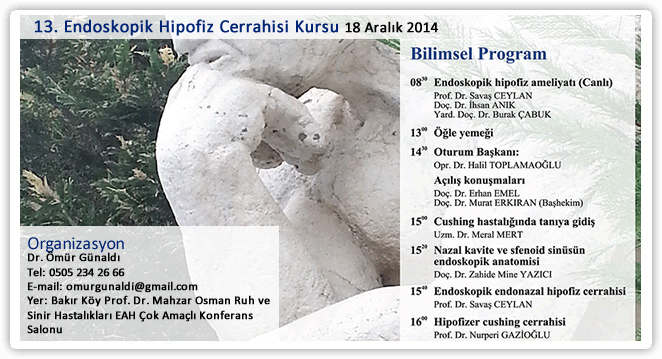 Hipofiz Cerrahisi